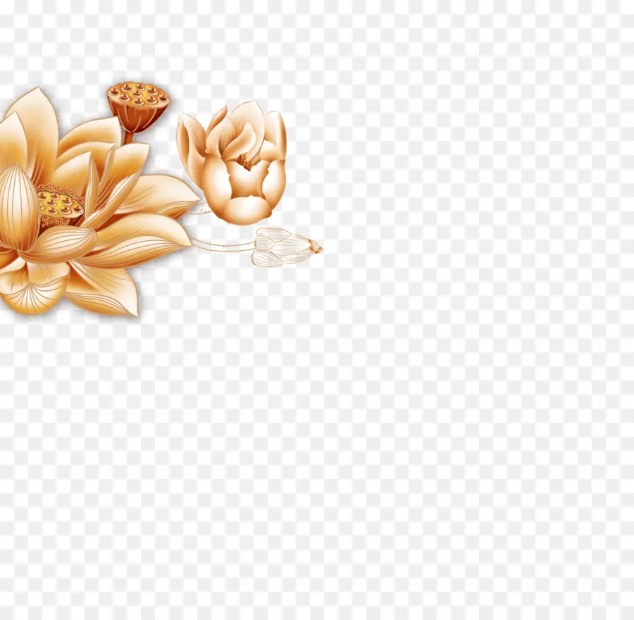 Fleur De Lotus Dorée，Lotus PNG