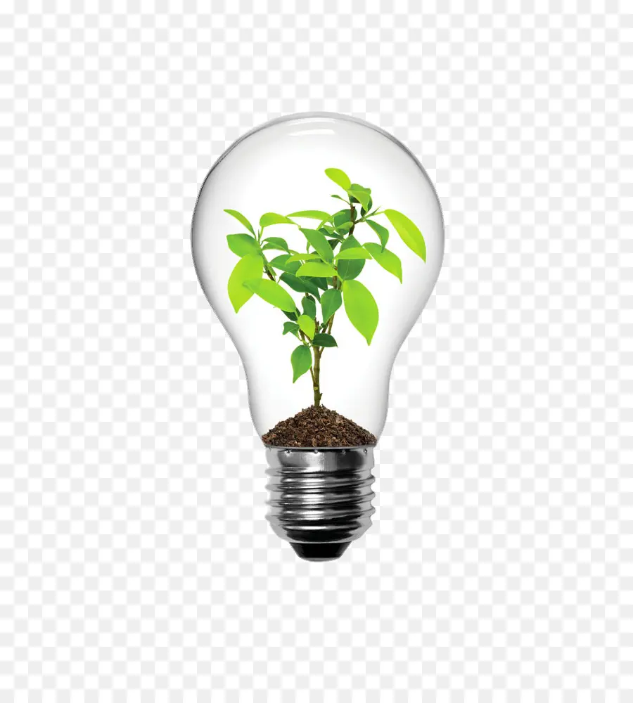 Ampoule Avec Plante，énergie Verte PNG