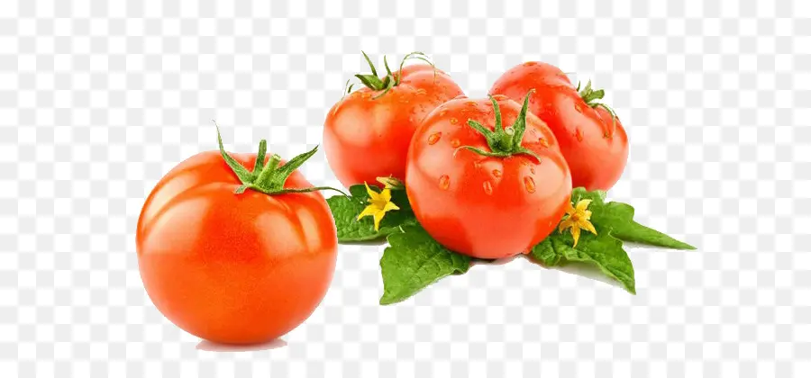 Tomates Et Ail，Oignons PNG