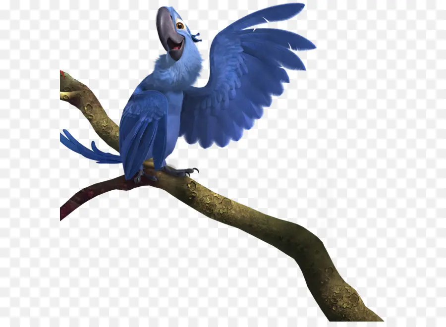 Oiseau Bleu，Dessin Animé PNG