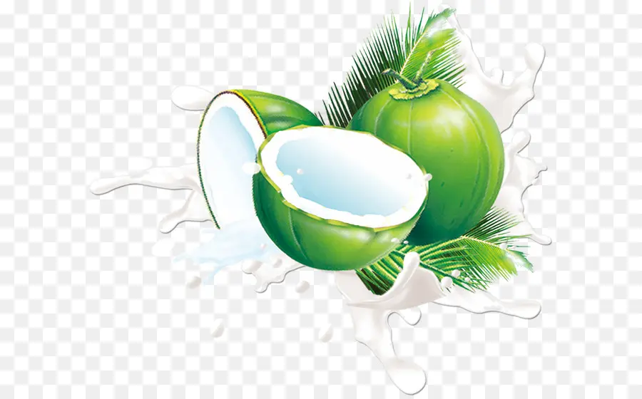 Noix De Coco Verte，Eau De Coco PNG