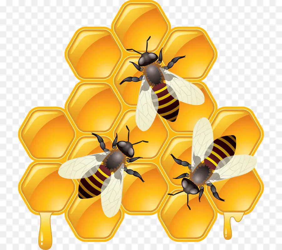 Abeilles Et Nid D'abeilles，Chéri PNG