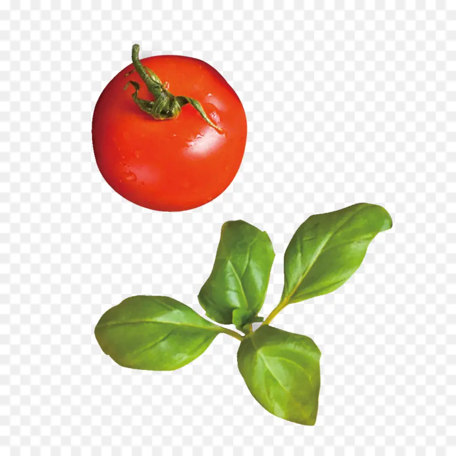 Tomate，Rouge PNG