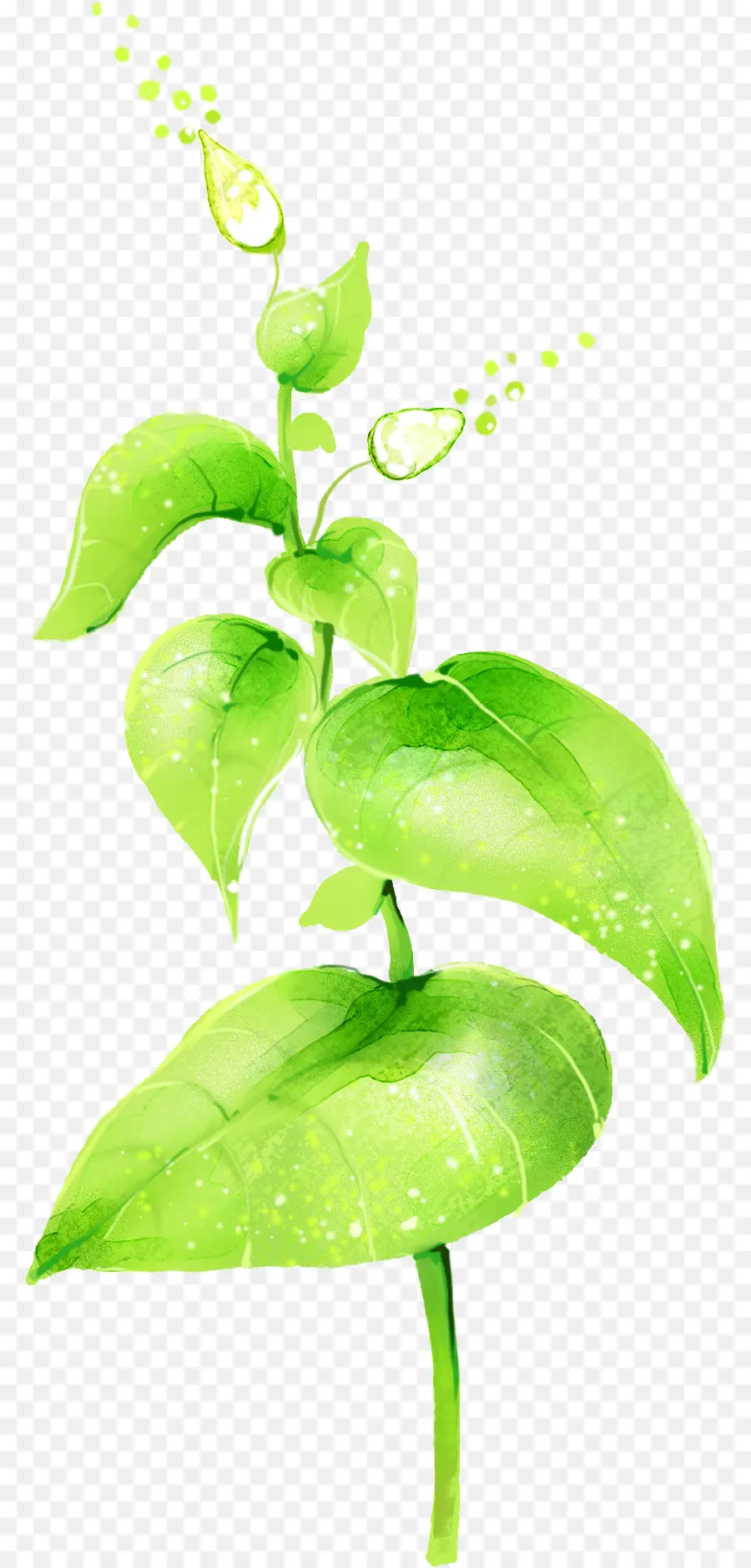 Vert，Télécharger PNG