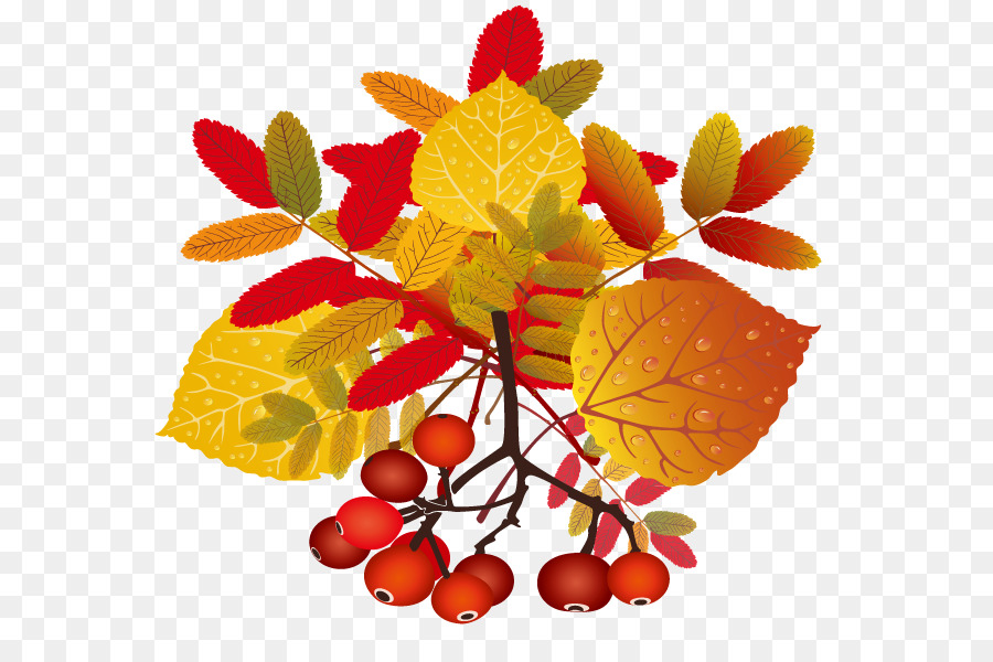 Fruits Rouges，Feuilles PNG