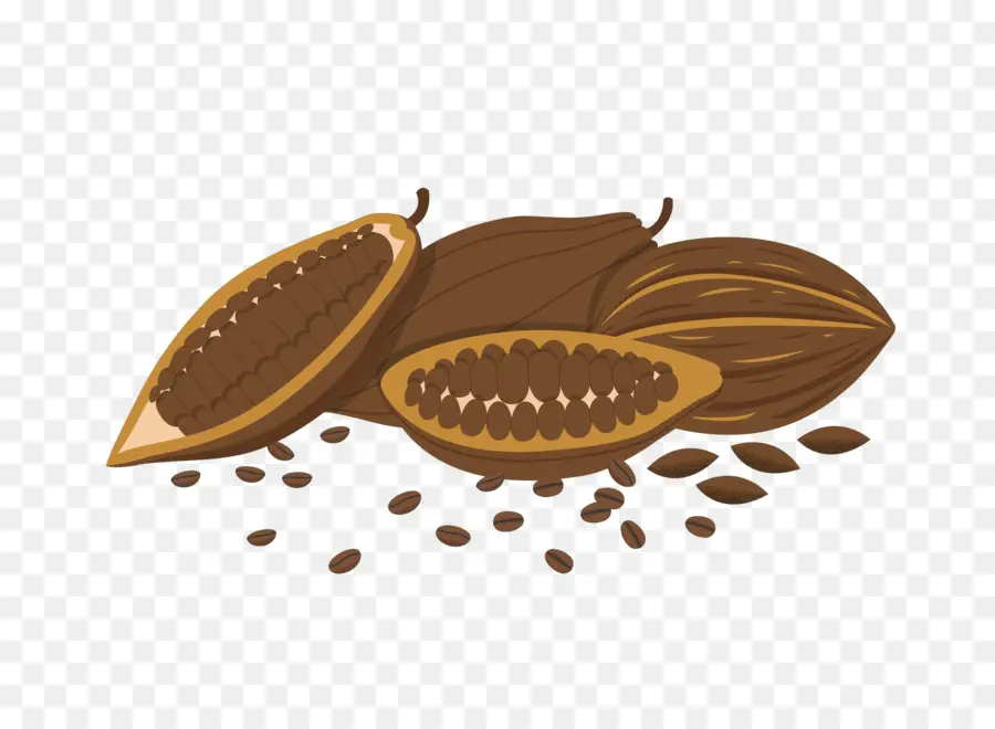 Cabosses De Cacao，Fèves De Cacao PNG