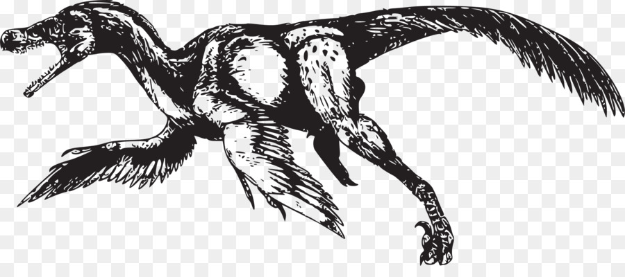 Bambiraptor，Vélociraptor PNG