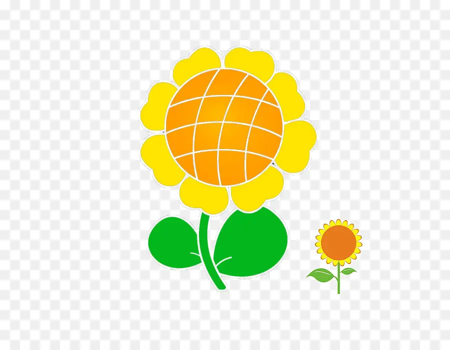 Commune De Tournesol，La Graine De Tournesol PNG