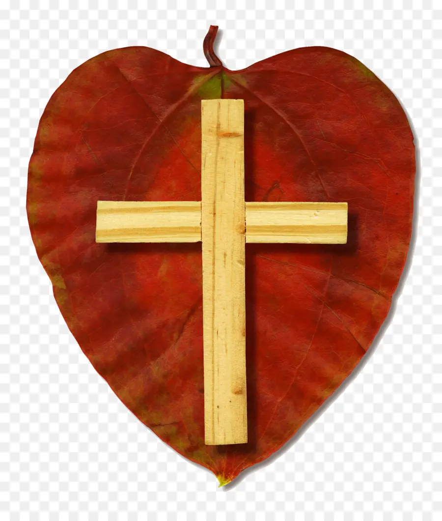 Croix，Feuille PNG