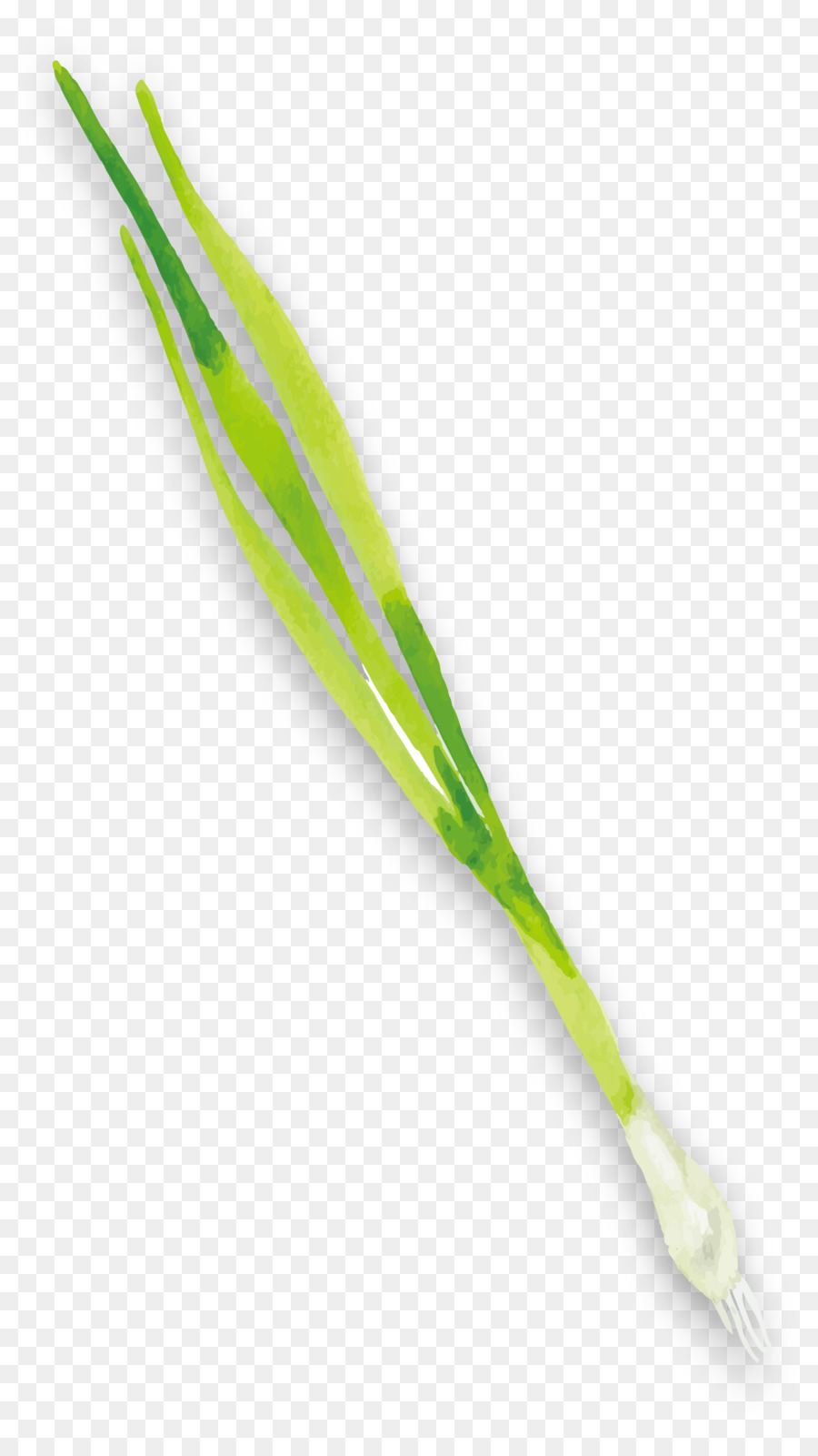 Télécharger，Légumes PNG