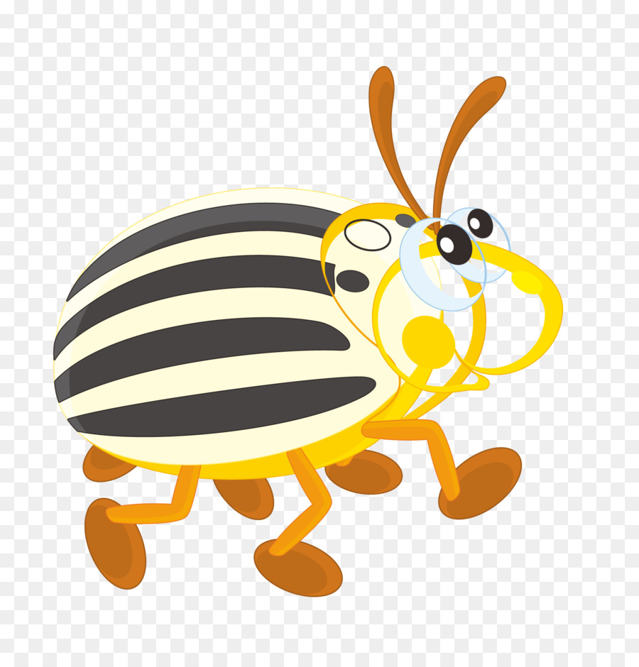 Insecte De Dessin Animé，Insecte PNG