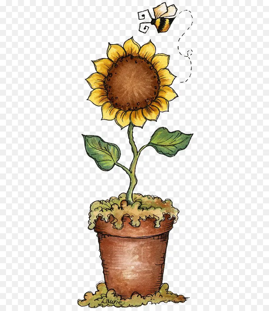 Tournesol，Fleur PNG