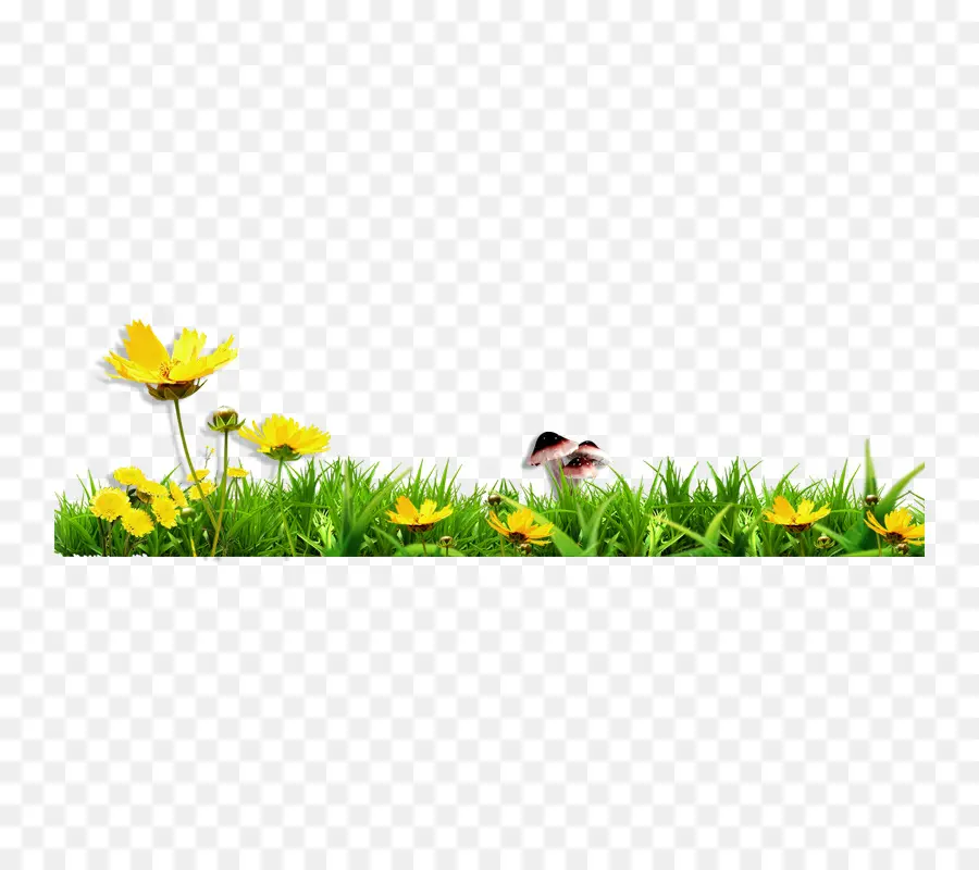 Fleurs，Herbe PNG