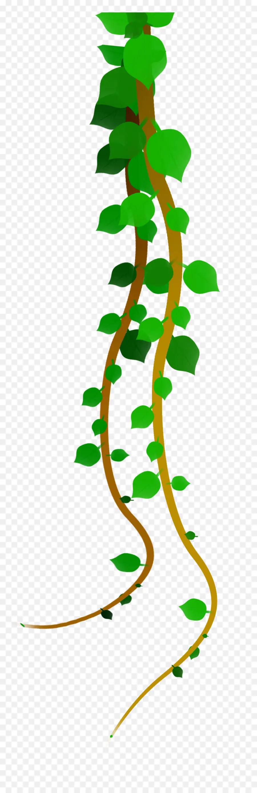 Vigne，Feuilles PNG