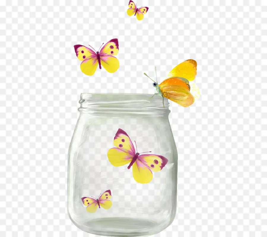 Papillons，Pot PNG