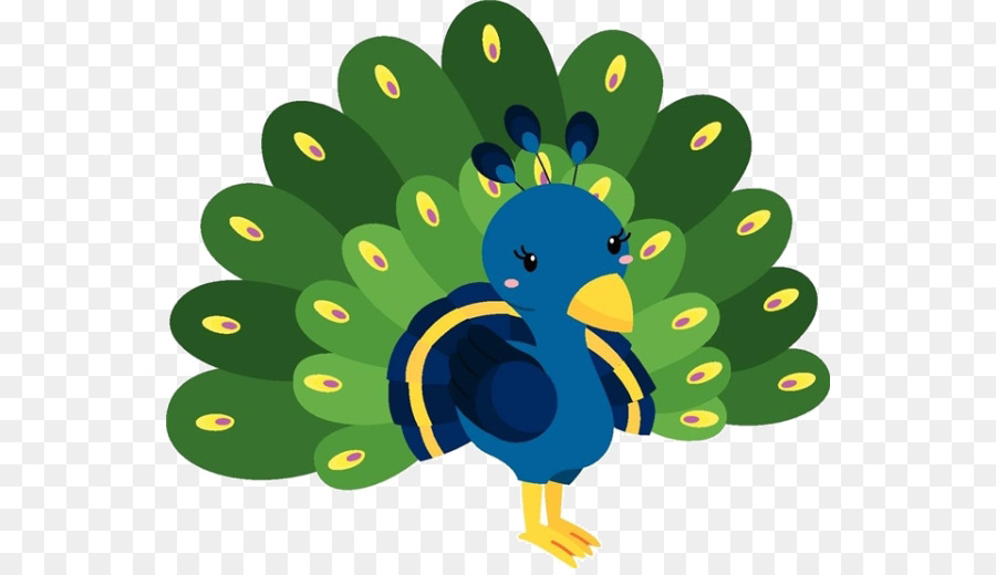 Paon，Plumes PNG