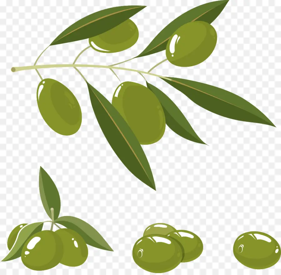 Olive，L Huile D Olive PNG