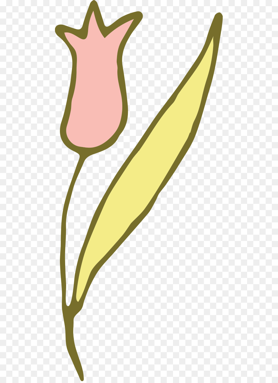 Tulip，Fleur PNG