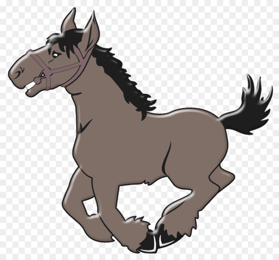 Cheval，Poney PNG