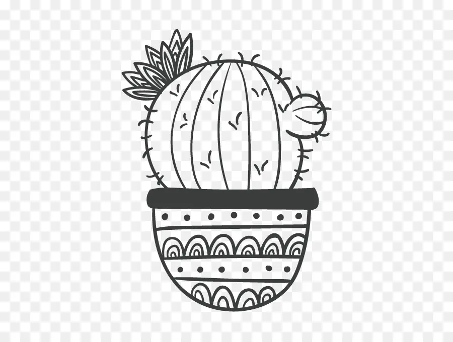 Cactus En Pot，Succulent PNG