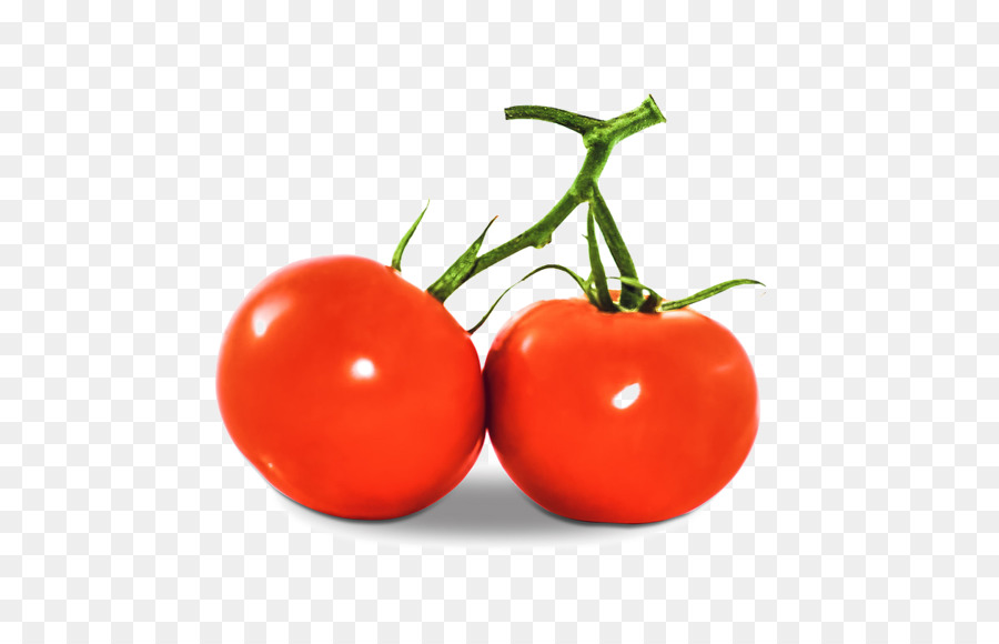 La Tomatina，Jus PNG