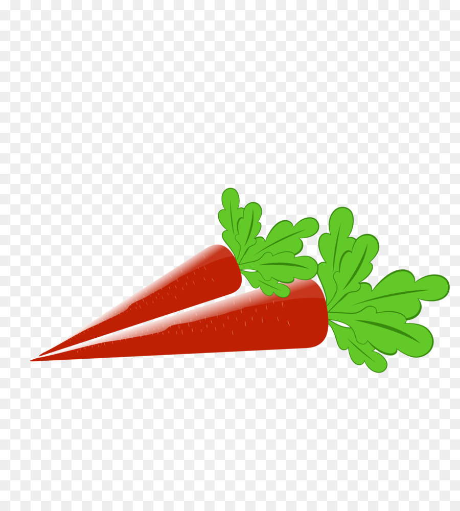 Carottes Rouges，Racine PNG