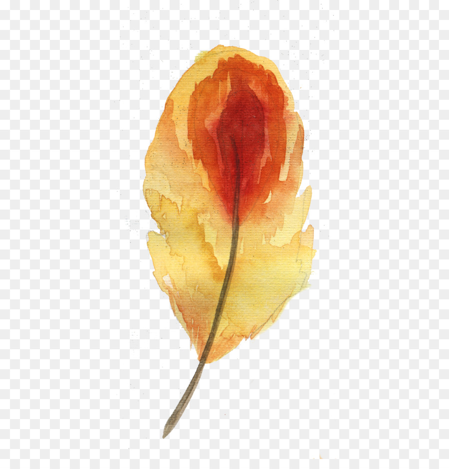 Feuille，Automne PNG