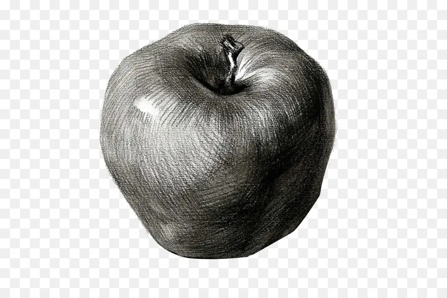 Pomme Noire Et Blanche，Esquisser PNG