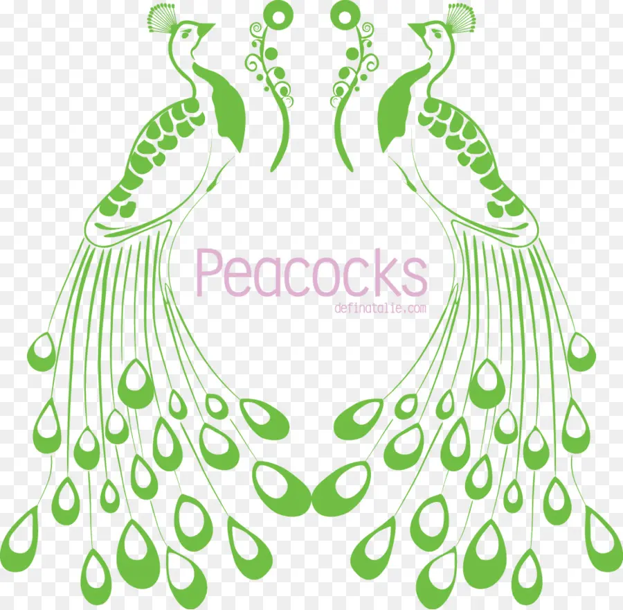 Paons Verts，Plumes PNG