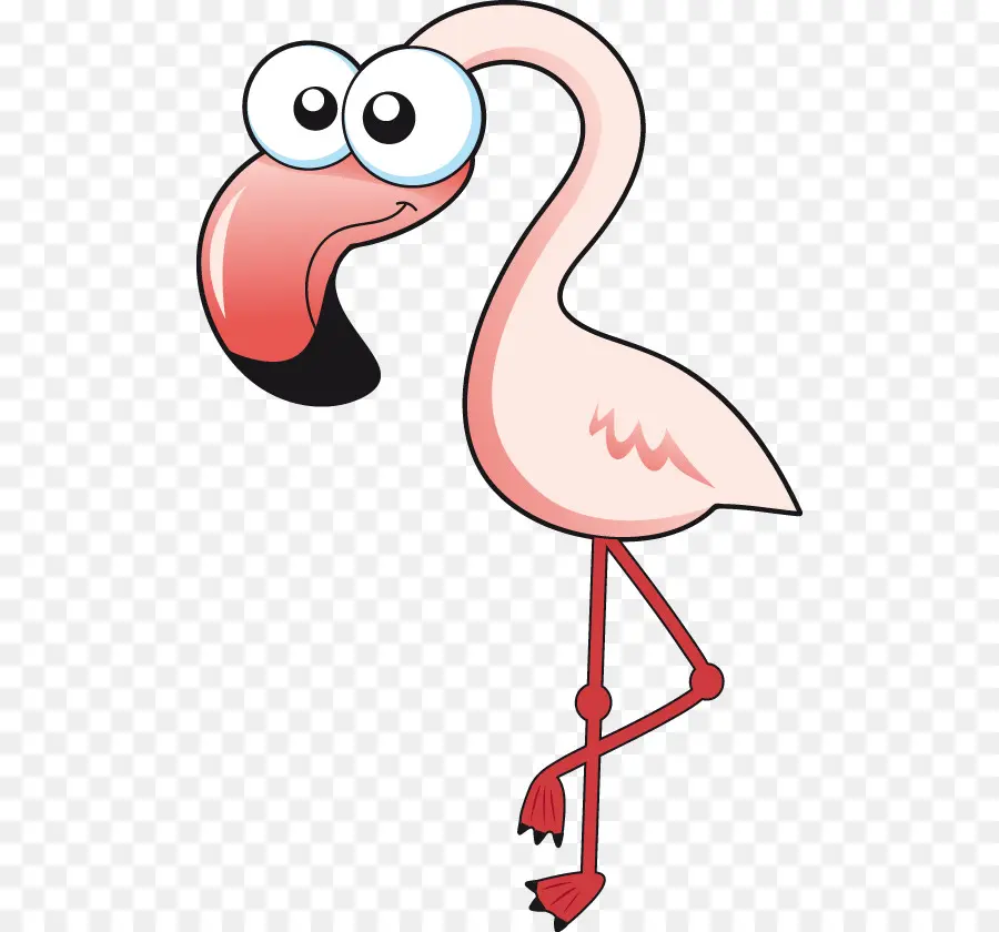 Flamant，Rose PNG