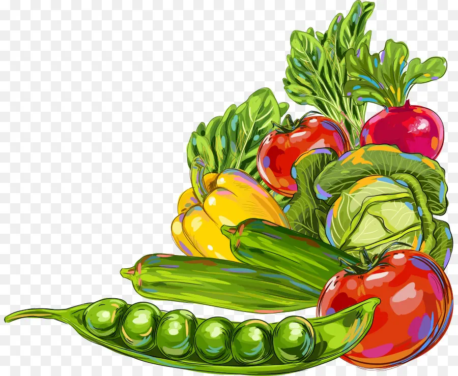 Légumes，Le Gombo PNG