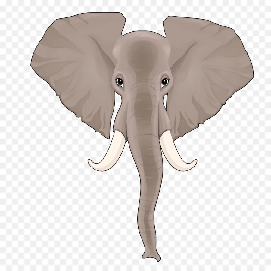 éléphant Indien，L éléphant D Afrique PNG