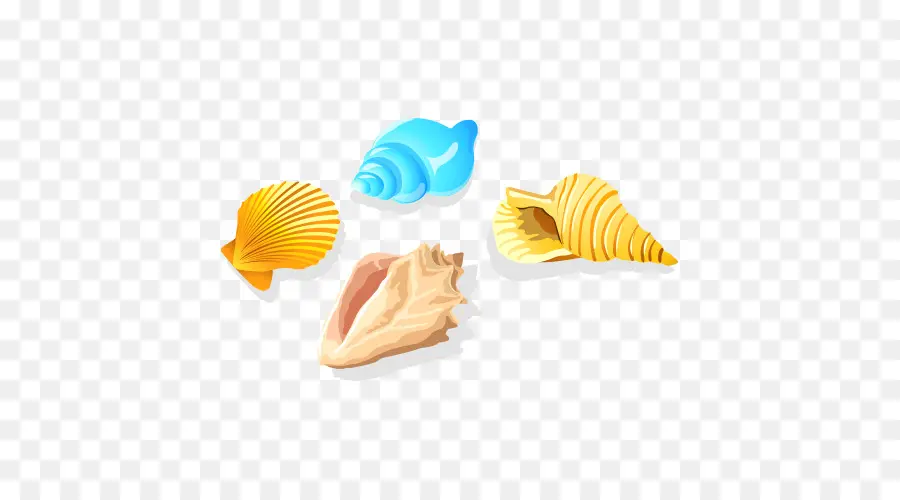 Coquillage，Conque PNG