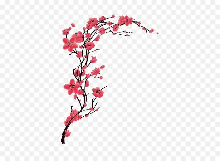 Fleur De Cerisier，Fleur PNG