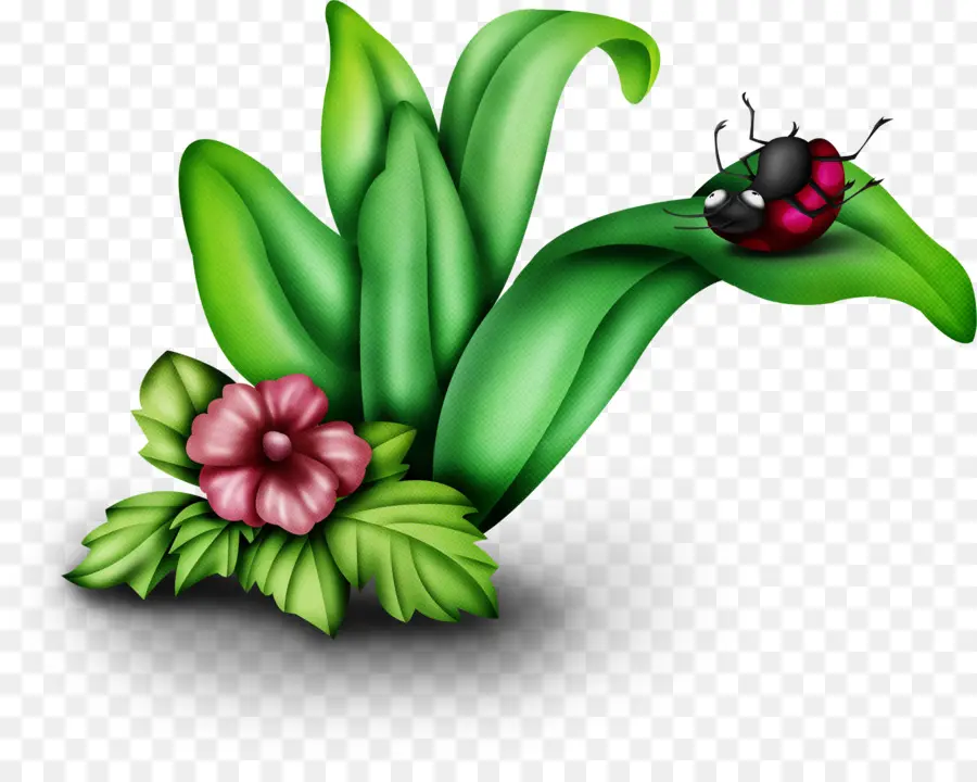 Coccinelle Sur Feuille，Coccinelle PNG