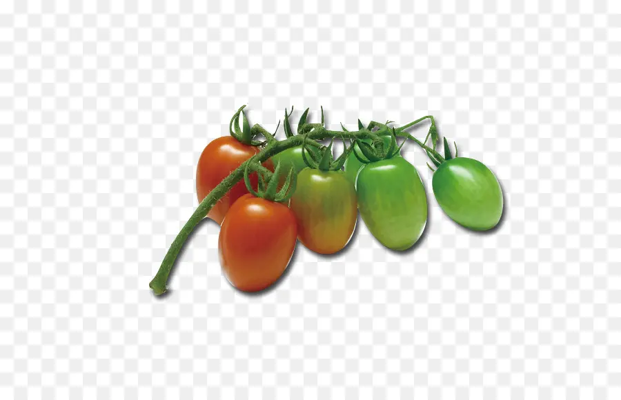 Tomates，Légume PNG