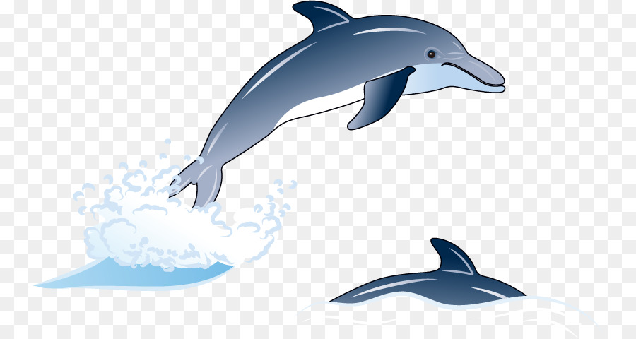 Dauphins De Dessin Animé，Marin PNG