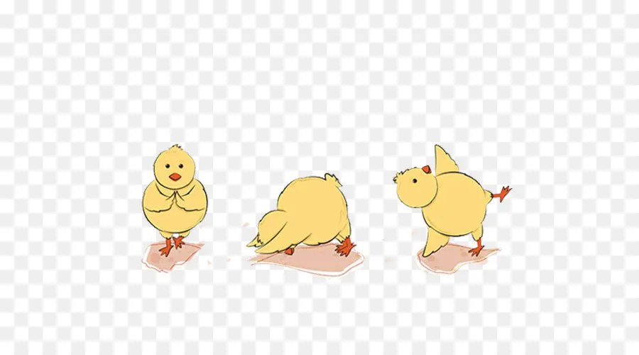 Poussins，Jaune PNG