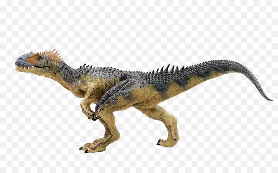 Allosaurus，Dinosaure PNG