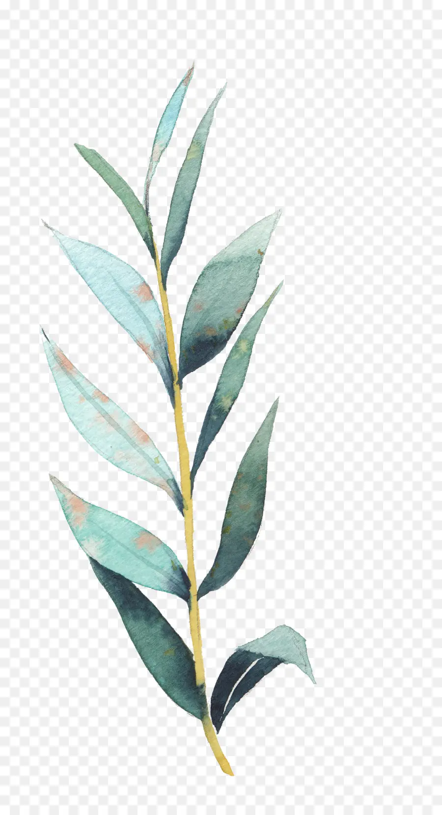 Feuille Verte，Usine PNG