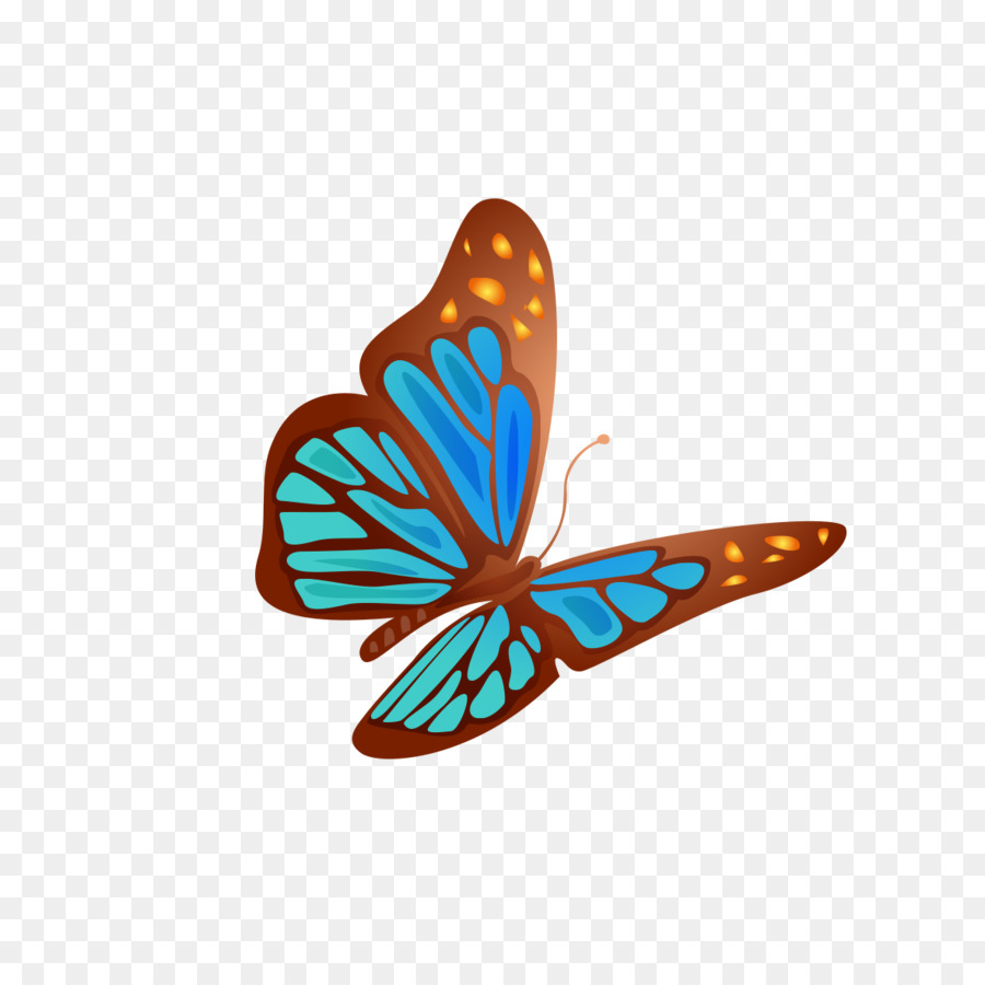 Papillon Coloré，Insecte PNG