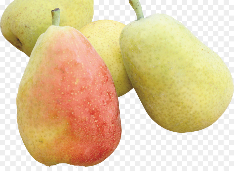 Pyrus Nivalis，Pyrus Xd7 Bretschneideri PNG