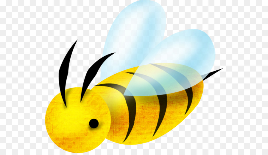 Abeille，Insecte PNG