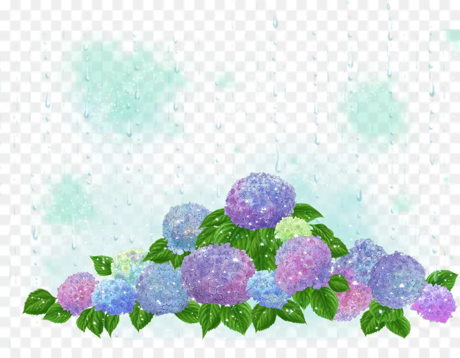 Hortensias，Violet PNG