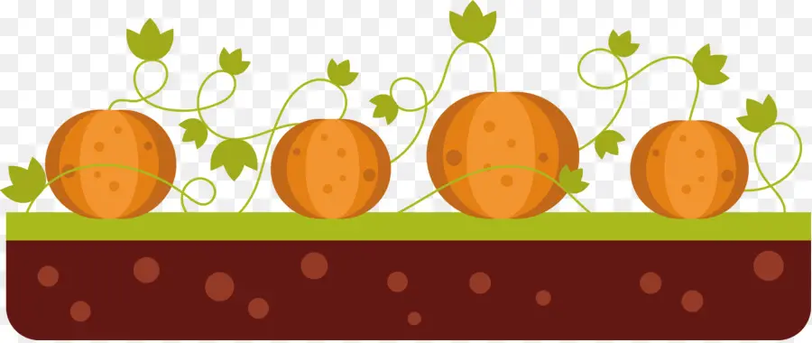 Citrouilles，Vignes PNG