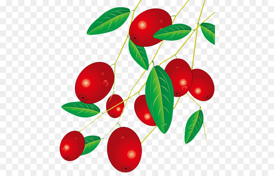 Fruits Rouges，Feuilles PNG