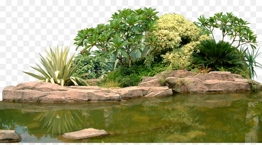 Paysage，Jardin PNG