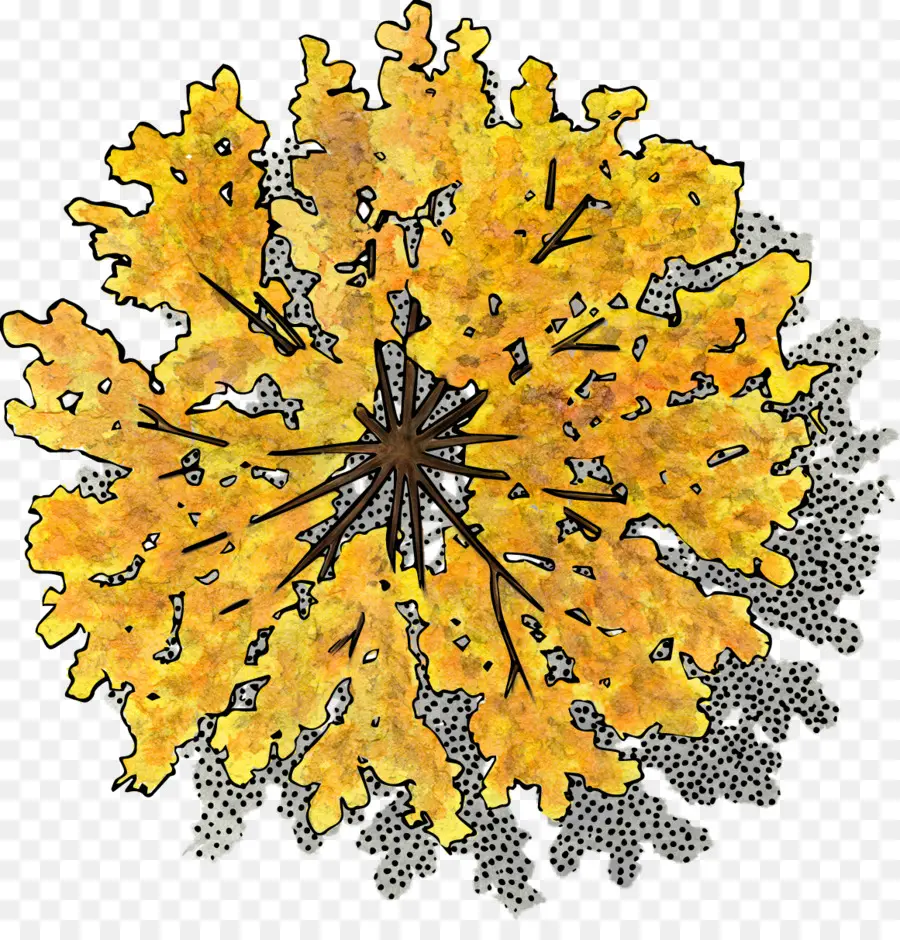 Feuille Jaune，Automne PNG