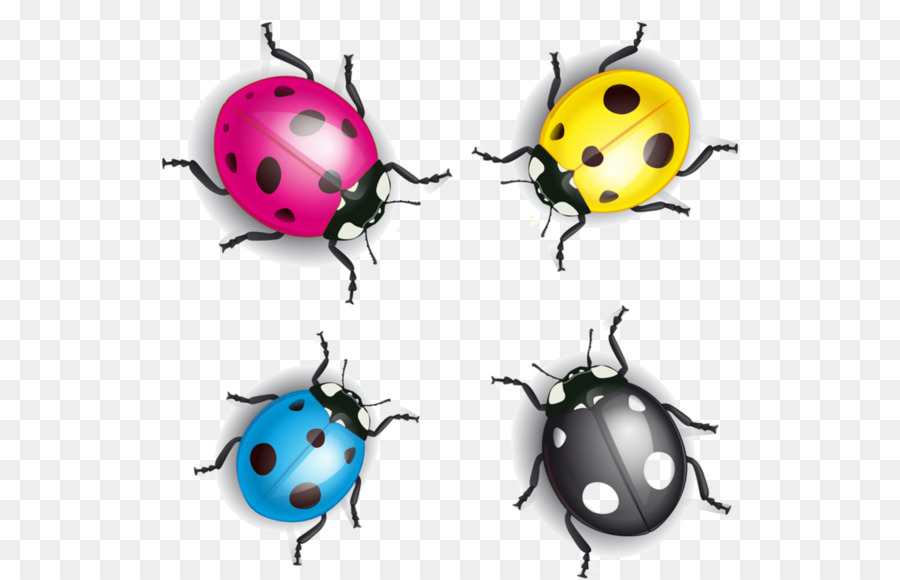 Coccinelles Colorées，Insectes PNG