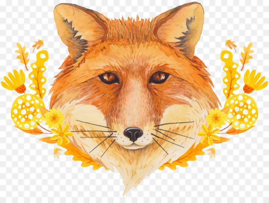 Illustration De Renard，Renard PNG